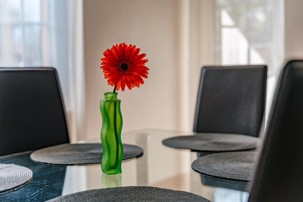 Mary Rose Apartments Oliveto Lario エクステリア 写真