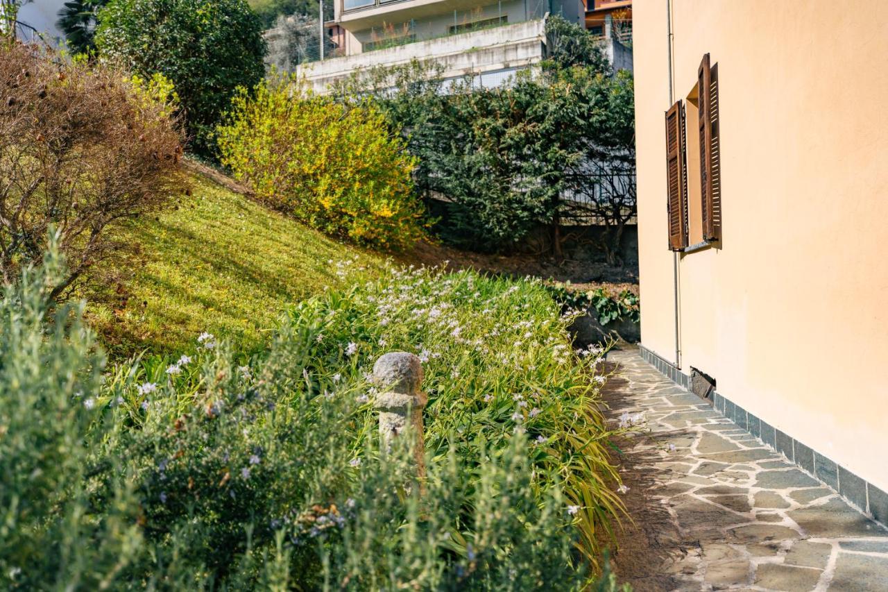 Mary Rose Apartments Oliveto Lario エクステリア 写真